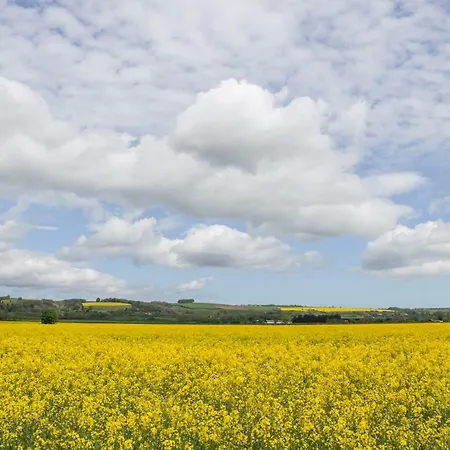 度假居 The 皮克林